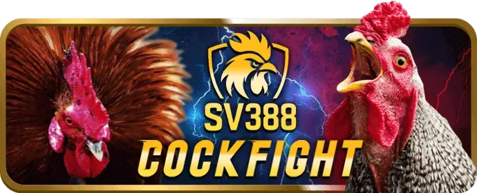 Thưởng nạp lại hàng ngày ứng dụng z8bet win